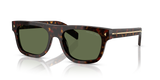 Root Tortoise / Polarized Green (17N20G)