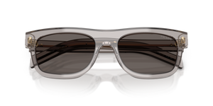 Hematite / Dark Grey (10J70Z)