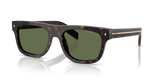 Root Tortoise / Polarized Green (17N20G)