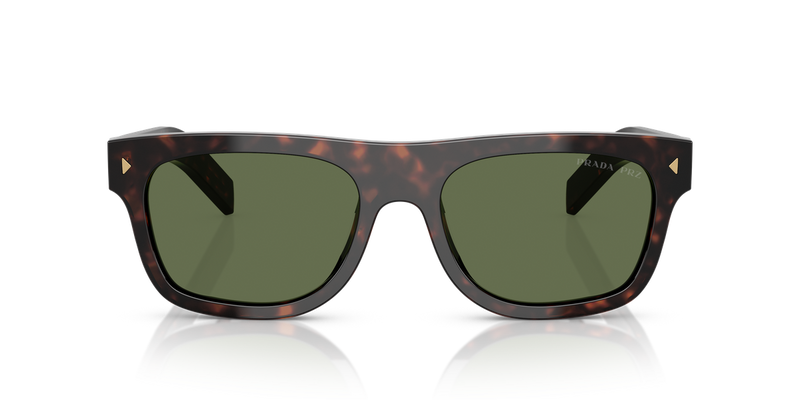 Prada PR B12S in Root Tortoise / Polarized Green (17N20G) - Alternate View