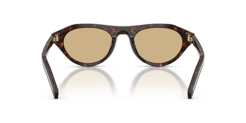 Prada PR B15SF in Root Tortoise - Alternate View
