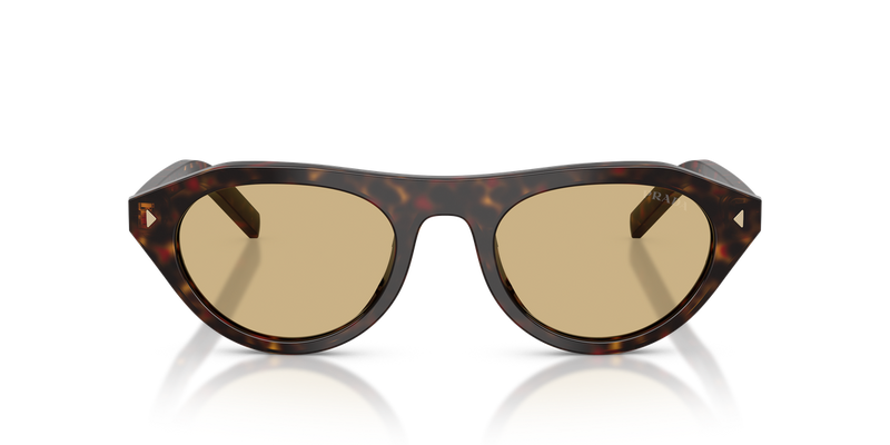 Prada PR B15SF in Root Tortoise - Alternate View