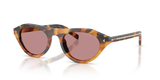 Cinnamon Tortoise / Dark Pink Polar (29C05Z)