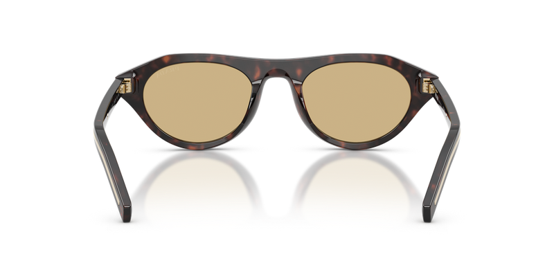 Prada PR B15S in Root Tortoise / Light Brown (17N70R) - Alternate View
