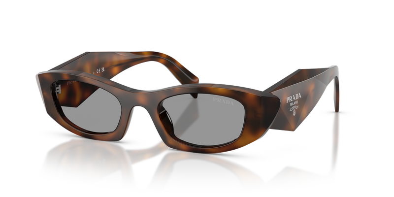 Prada PR B16SF in Juniper Tortoise / Grey (20D50Q) - Alternate View