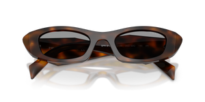 Juniper Tortoise / Grey (20D50Q)