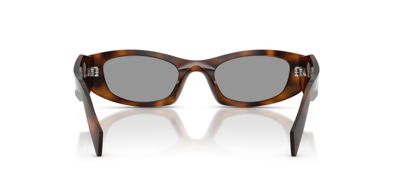 Prada PR B16S in Juniper Tortoise / Grey (20D50Q) - Alternate View