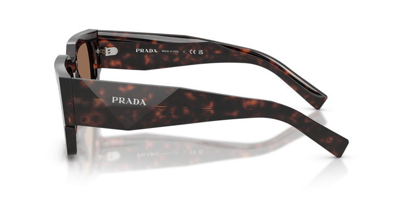 Prada PR B17S in Root Tortoise / Dark Brown (17N06B) - Alternate View