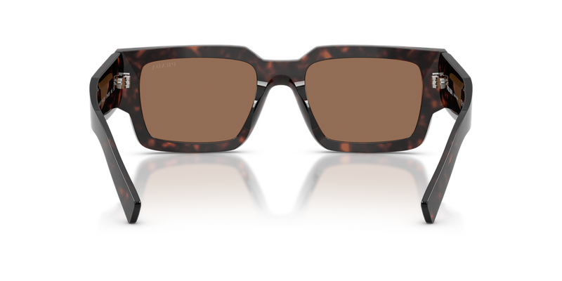 Prada PR B17S in Root Tortoise / Dark Brown (17N06B) - Alternate View