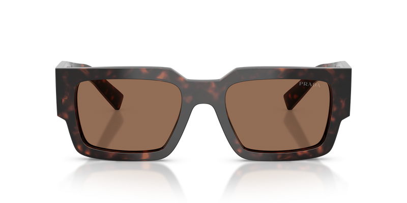 Prada PR B17S in Root Tortoise / Dark Brown (17N06B) - Alternate View