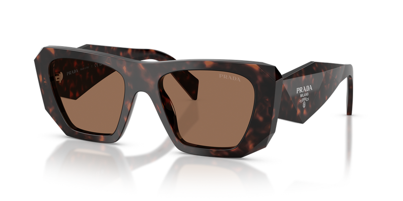 Prada PR B18S in Root Tortoise / Dark Brown (17N06B) - Alternate View