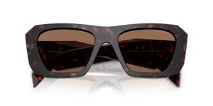 Root Tortoise / Dark Brown (17N06B)