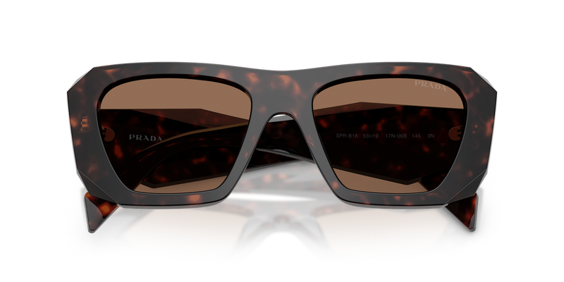 Prada PR B18S in Root Tortoise / Dark Brown (17N06B) - Alternate View
