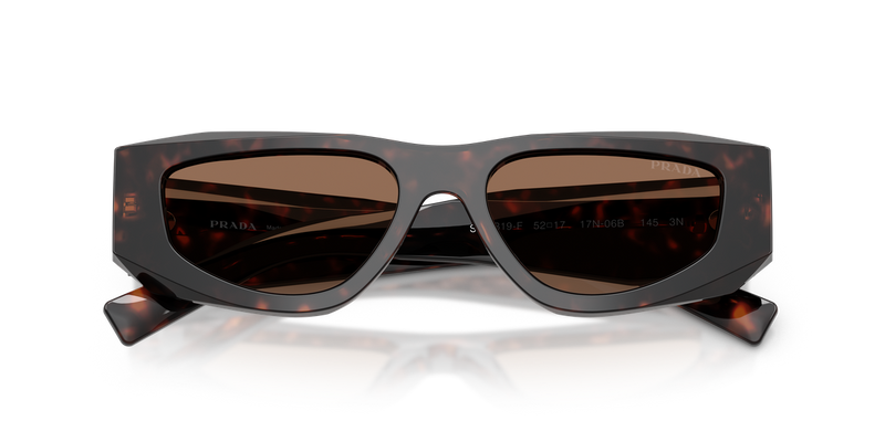 Prada PR B19SF in Root Tortoise / Dark Brown (17N06B) - Alternate View