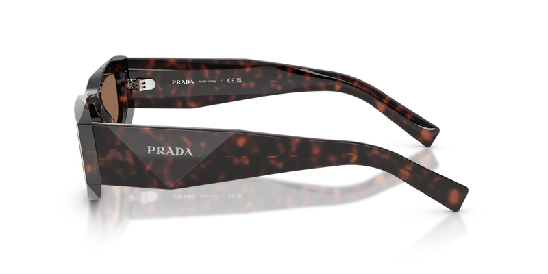 Prada PR B19SF in Root Tortoise / Dark Brown (17N06B) - Alternate View