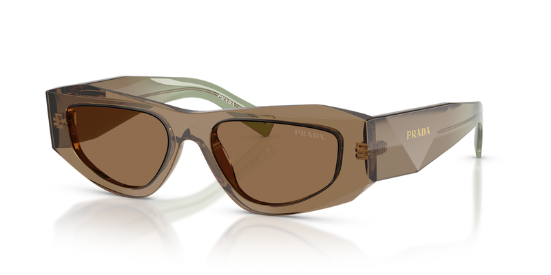 Prada PR B19SF in Terra / Light Brown (29E90F) - Alternate View
