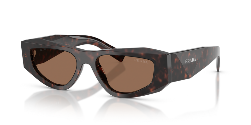 Prada PR B19S in Root Tortoise / Dark Brown (17N06B) - Alternate View