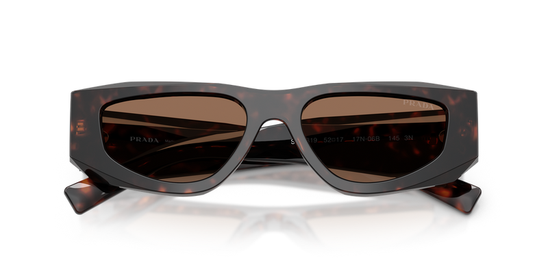 Prada PR B19S in Root Tortoise / Dark Brown (17N06B) - Alternate View