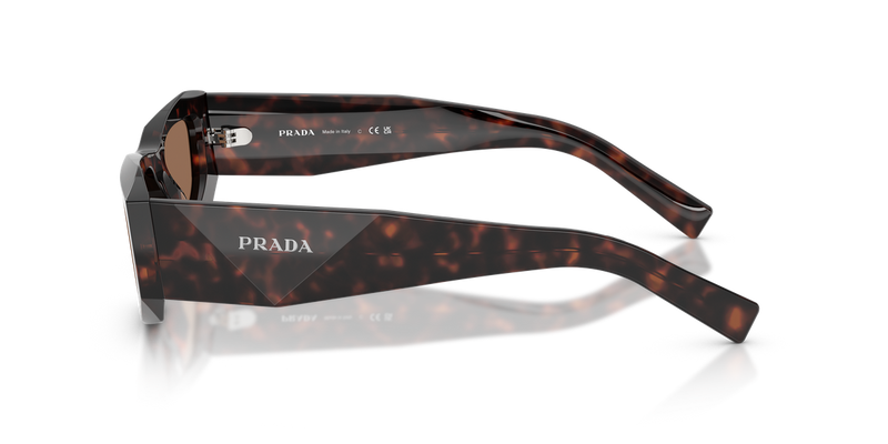 Prada PR B19S in Root Tortoise / Dark Brown (17N06B) - Alternate View