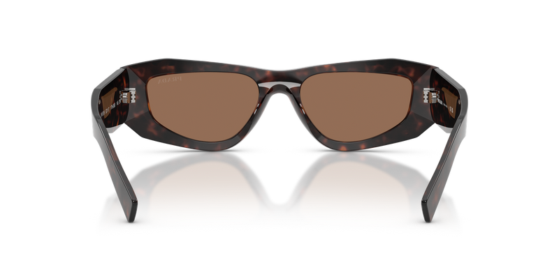 Prada PR B19S in Root Tortoise / Dark Brown (17N06B) - Alternate View