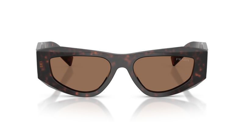 Prada PR B19S in Root Tortoise / Dark Brown (17N06B) - Alternate View
