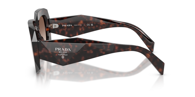 Prada PR B23SF in Root Tortoise / Brown Gradient (17N10S) - Alternate View