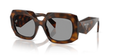Juniper Tortoise / Grey (20D50Q)