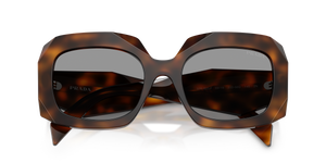 Juniper Tortoise / Grey (20D50Q)