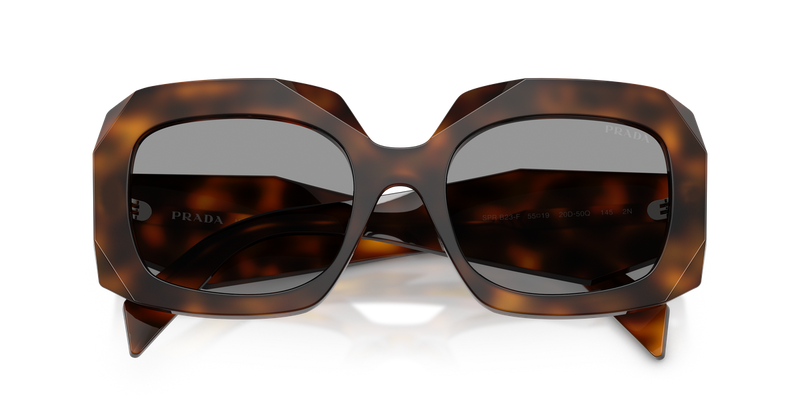 Prada PR B23SF in Juniper Tortoise / Grey (20D50Q) - Alternate View