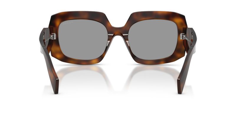 Prada PR B23SF in Juniper Tortoise / Grey (20D50Q) - Alternate View