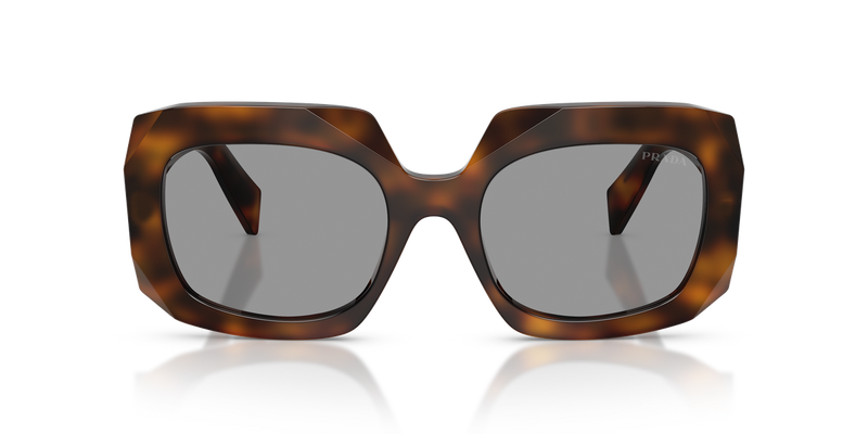 Prada PR B23SF in Juniper Tortoise / Grey (20D50Q) - Alternate View