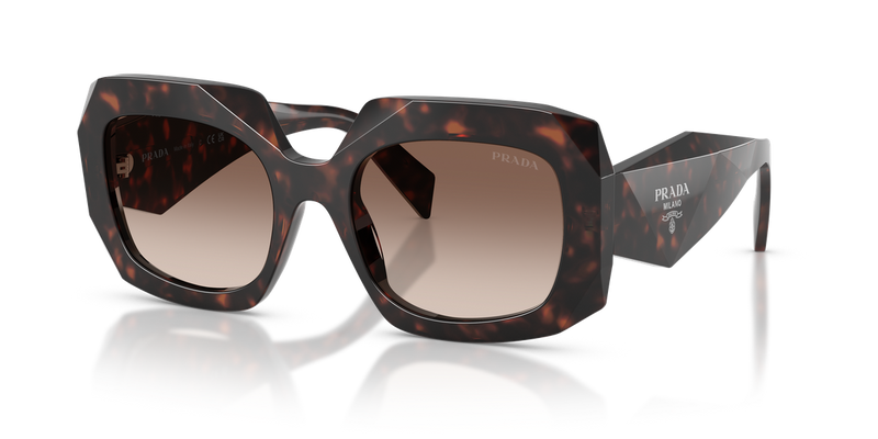 Prada PR B23S in Root Tortoise / Brown Gradient (17N10S) - Alternate View