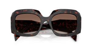 Root Tortoise / Brown Gradient (17N10S)