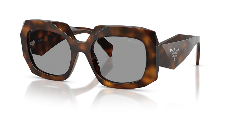 Prada PR B23S in Juniper Tortoise / Grey (20D50Q) - Alternate View