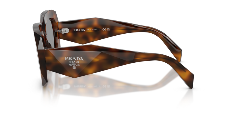 Prada PR B23S in Juniper Tortoise / Grey (20D50Q) - Alternate View