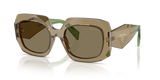 Terra / Light Brown (29E90F)