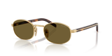 Gold / Dark Brown (5AK09Z)