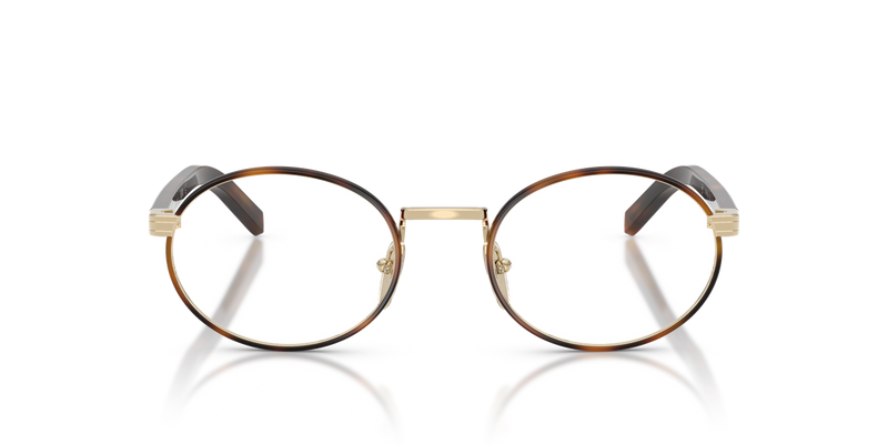 Prada PR B55V in Pale Gold/Juniper Tortoise / Demo Lens (20L1O1) - Alternate View