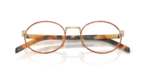 Pale Gold/Honey Havana / Demo Lens (22E1O1)