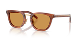 Havana Cognac / Photogrey Extra Yellow (27F60F)