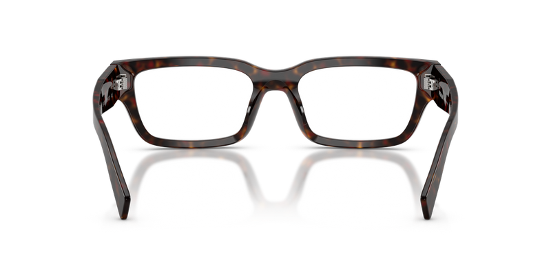 Prada PR C02VF in Root Tortoise / Demo Lens (17N1O1) - Alternate View