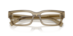 Transparent Bark / Demo Lens (22H1O1)