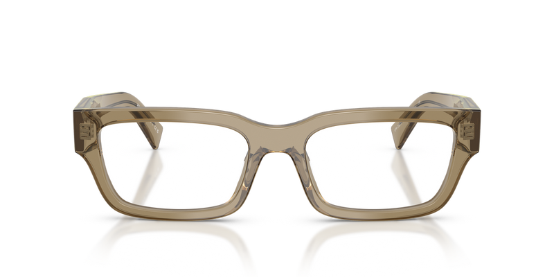Prada PR C02VF in Transparent Bark / Demo Lens (22H1O1) - Alternate View