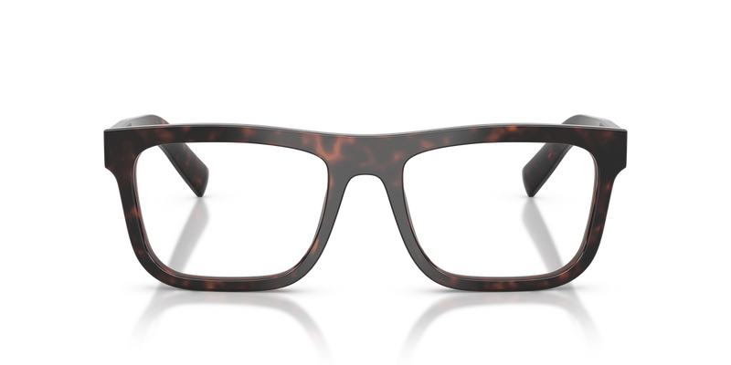 Prada PR C03V in Root Tortoise / Demo Lens (17N1O1) - Alternate View