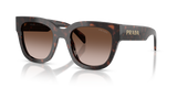 Root Tortoise / Brown Gradient (17N80A)