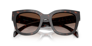 Root Tortoise / Brown Gradient (17N80A)