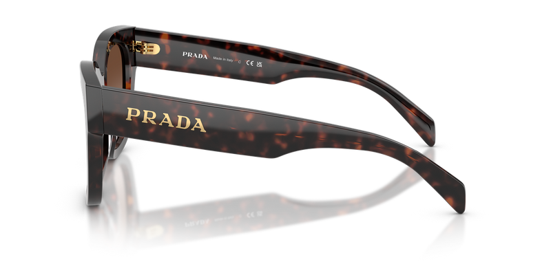 Prada PR C04SF in Root Tortoise / Brown Gradient (17N80A) - Alternate View