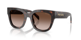 Root Tortoise / Brown Gradient (17N80A)