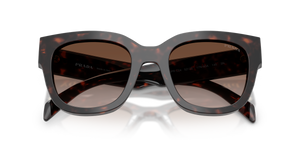 Root Tortoise / Brown Gradient (17N80A)