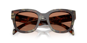 Woods Tortoise / Brown (22F90Q)